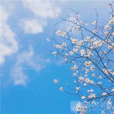 勇敢者西游破解版下载